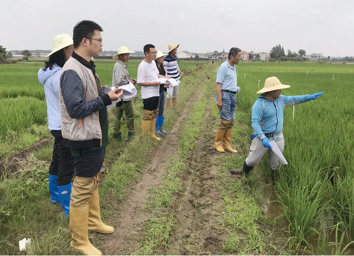 泰禾國際自主創新新品迎來年內首輪大考