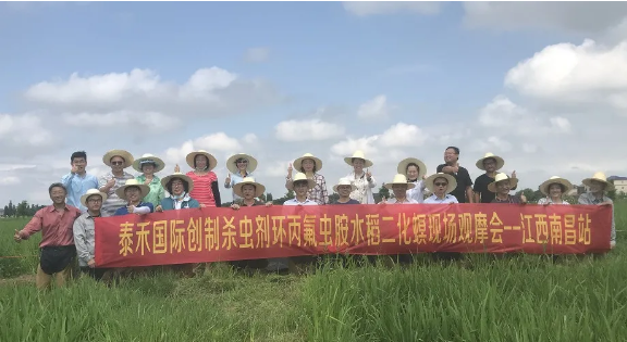 水稻二化螟為害肆意猖獗 環丙氟蟲胺出手技驚四座 ——創新殺蟲劑環丙氟蟲胺水稻二化螟藥效田試年內首秀